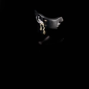 golden wave earrings